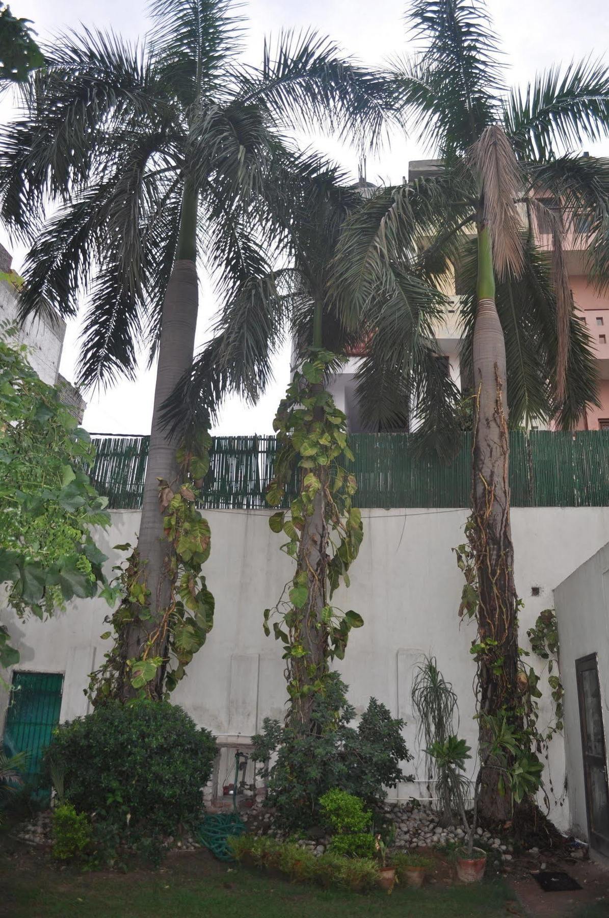 Hotel Hotel Kabli New Delhi