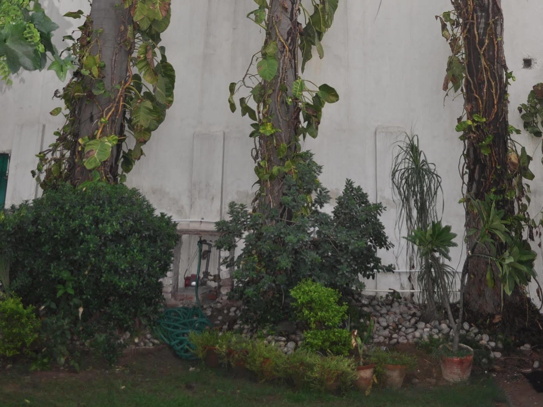 Hotel Kabli